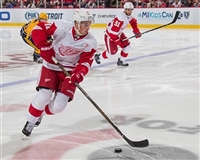 Dylan Larkin tote bag #G1797070