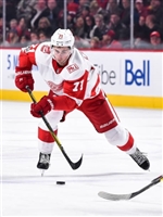 Dylan Larkin Sweatshirt #3554844