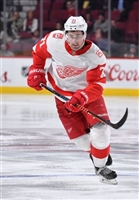Dylan Larkin Longsleeve T-shirt #3554845