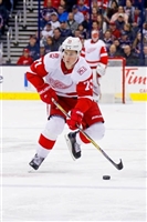 Dylan Larkin tote bag #G1797080