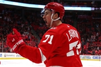 Dylan Larkin hoodie #3554852