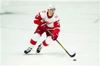 Dylan Larkin Sweatshirt #3554854