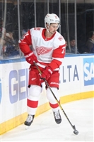 Dylan Larkin Sweatshirt #3554856