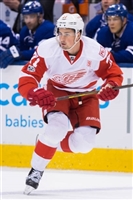 Dylan Larkin tote bag #G1797088