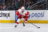 Dylan Larkin tote bag #G1797089