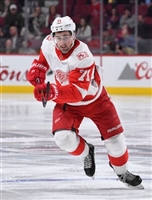 Dylan Larkin Longsleeve T-shirt #3554862