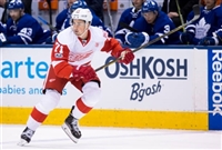 Dylan Larkin Longsleeve T-shirt #3554863