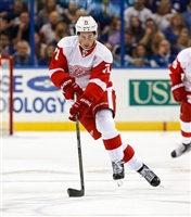 Dylan Larkin tote bag #G1797096