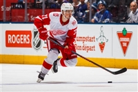 Dylan Larkin tote bag #G1797134