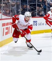 Dylan Larkin mug #G1797136