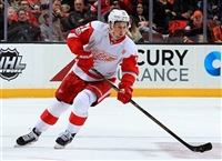 Dylan Larkin tote bag #G1797144