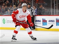 Dylan Larkin Longsleeve T-shirt #3554915