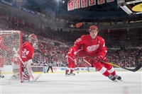 Dylan Larkin Sweatshirt #3554920