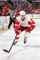 Dylan Larkin Tank Top #3554941