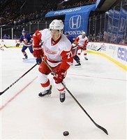 Dylan Larkin hoodie #3554948