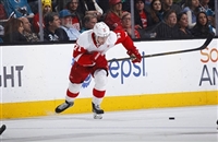 Dylan Larkin t-shirt #3554949