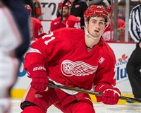 Dylan Larkin Longsleeve T-shirt #3554989