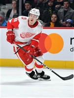 Dylan Larkin Sweatshirt #3555024