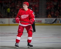 Dylan Larkin Sweatshirt #3555025