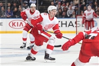 Dylan Larkin Sweatshirt #3555028