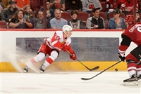 Dylan Larkin Sweatshirt #3555040