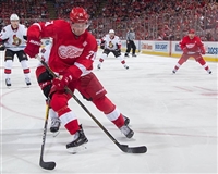 Dylan Larkin Sweatshirt #3555041
