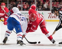 Dylan Larkin Sweatshirt #3555044