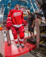 Dylan Larkin Sweatshirt #3555050