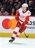 Dylan Larkin Tank Top #3555055