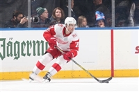 Dylan Larkin Tank Top #3555065