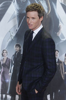 Eddie Redmayne t-shirt #3774222