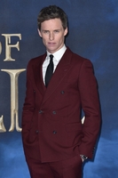 Eddie Redmayne tote bag #G2406456