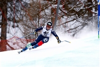 Elena Fanchini tote bag #G2248985