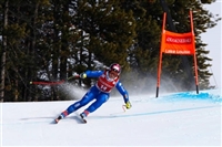 Elena Fanchini longsleeve t-shirt #3639247