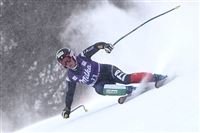 Elena Fanchini t-shirt #3639249