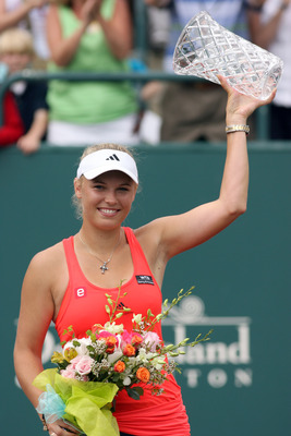 Elena Vesnina posters