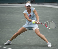 Elena Vesnina longsleeve t-shirt #2617734