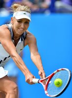 Elena Vesnina longsleeve t-shirt #2617748