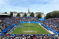 Elena Vesnina hoodie #2617790