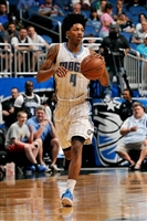 Elfrid Payton longsleeve t-shirt #3436249