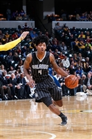 Elfrid Payton hoodie #3436492