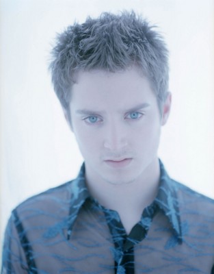 Elijah Wood puzzle 1432595