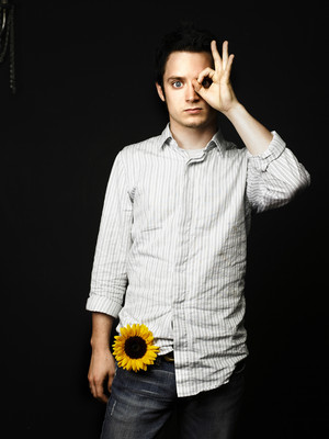 Elijah Wood posters
