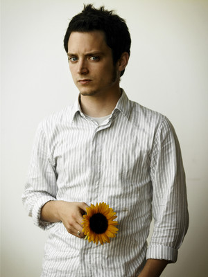 Elijah Wood posters