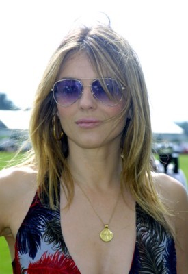 Elizabeth Hurley posters