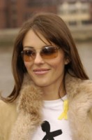 Elizabeth Hurley hoodie #1300425