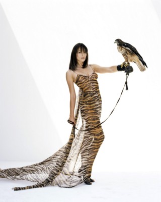 Elizabeth Hurley posters