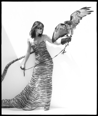 Elizabeth Hurley posters