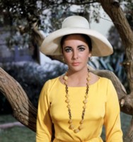 Elizabeth Taylor mug #G292131