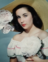 Elizabeth Taylor Longsleeve T-shirt #2591828